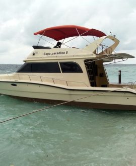 Private Charter Boat Pulau seribu