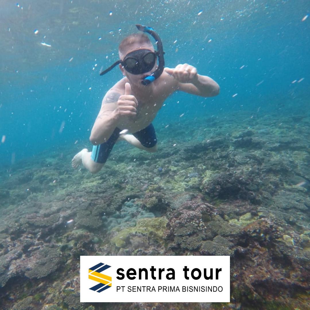 Snorkeling & Scuba Diving